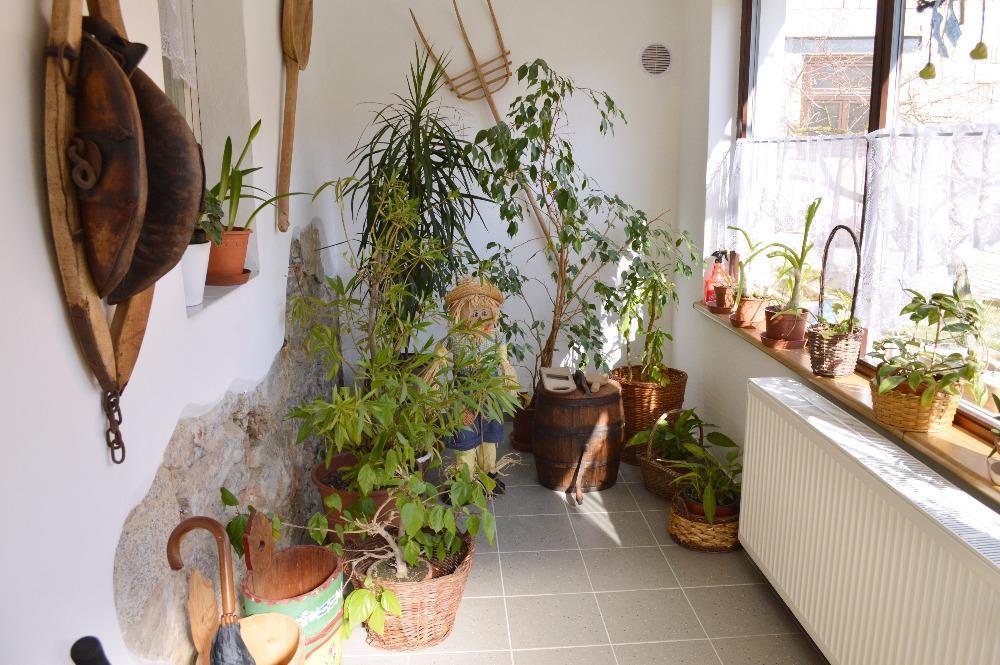 U Slunecne Brany Frantiskovy Lazne Bagian luar foto